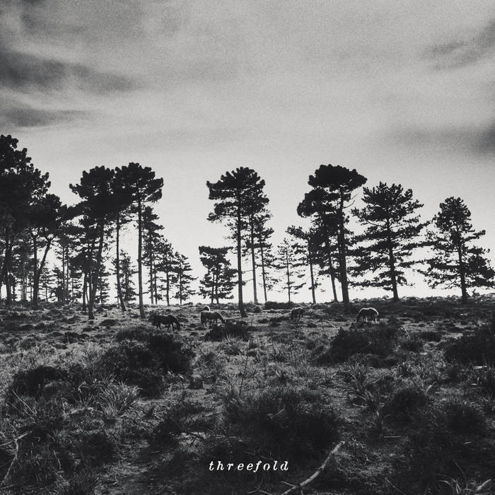 Threefold cover art