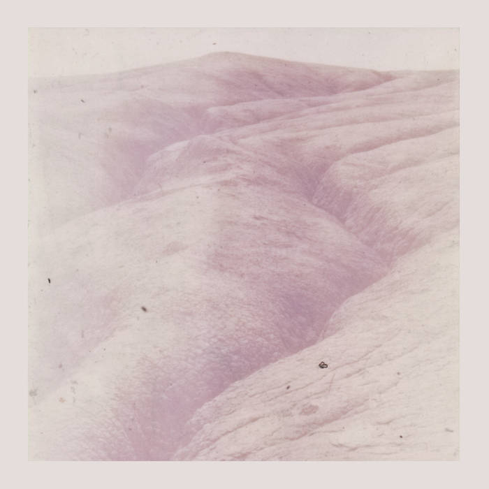 Theodore_wild_ride Dto