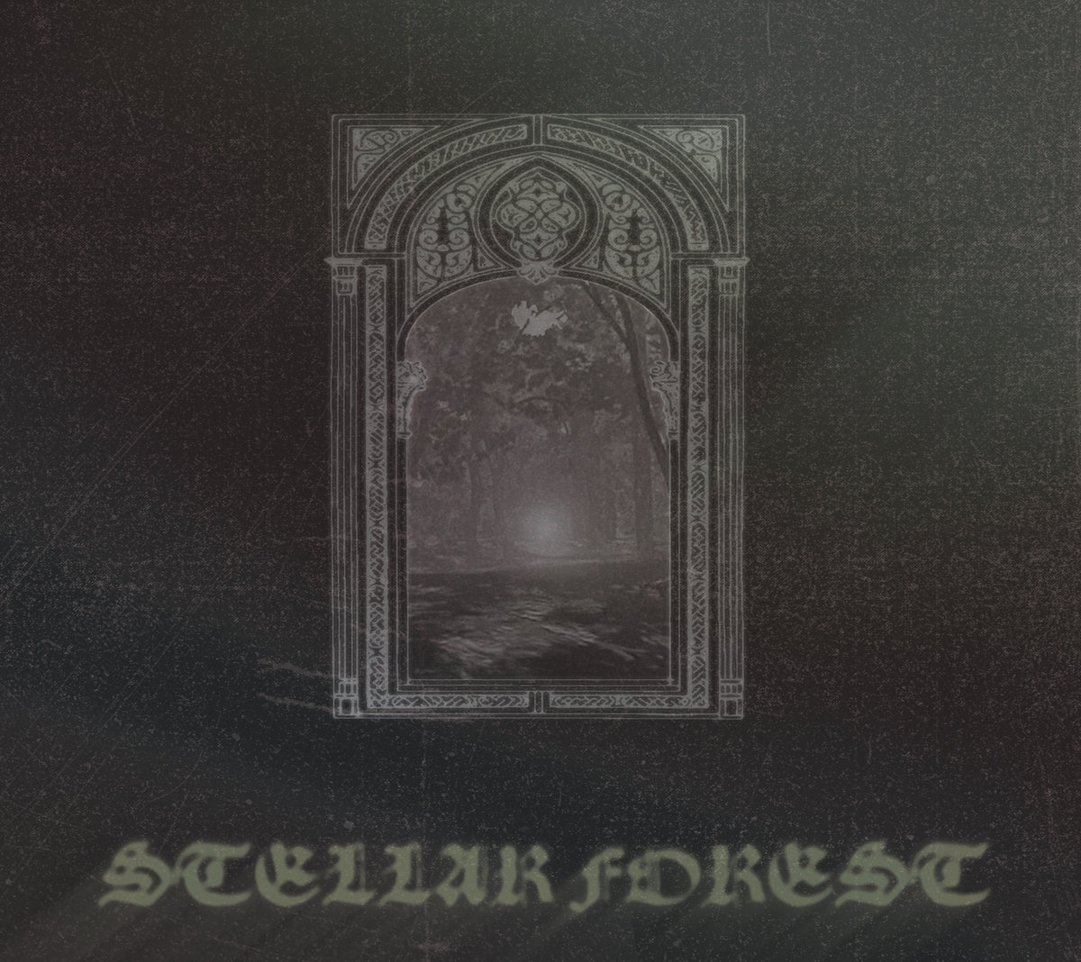 Stellar Forest by Stellar Forest