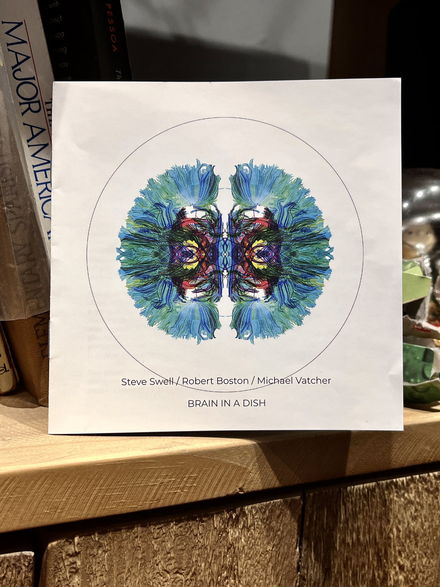 Brain in a Dish