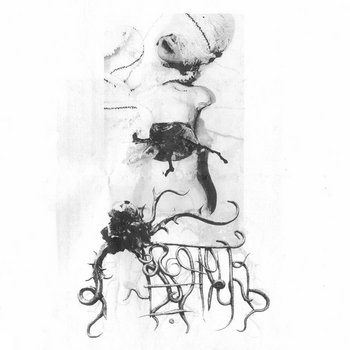 Music | No Catharsis