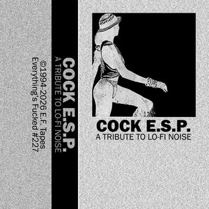 Cock E.S.P. — A Tribute to Lo-Fi Noise