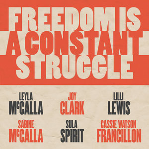 Freedom Is A Constant Struggle cover