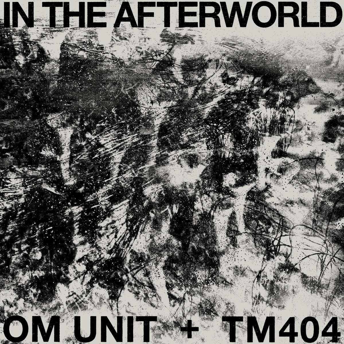 洋楽 Om Unit + TM404 - In The Afterworld In The Afterworld | Om Unit + TM404 | Om Unit