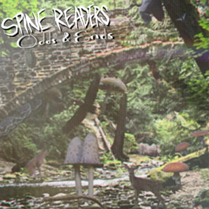 Odds and Ends cover