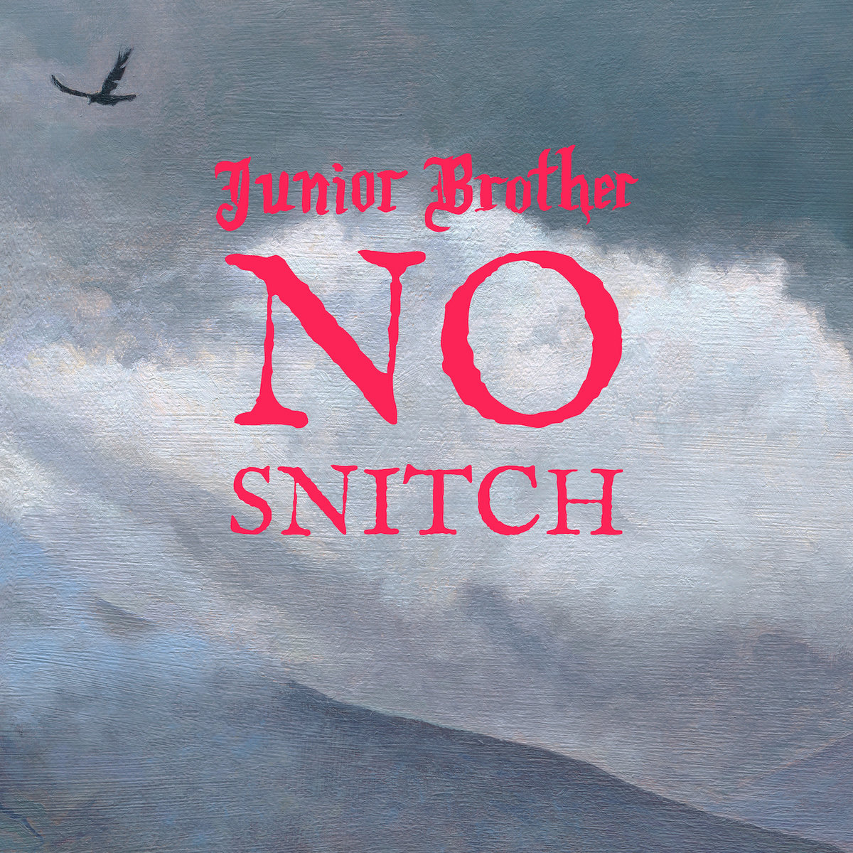 No Snitch cover
