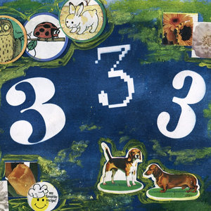 333 cover