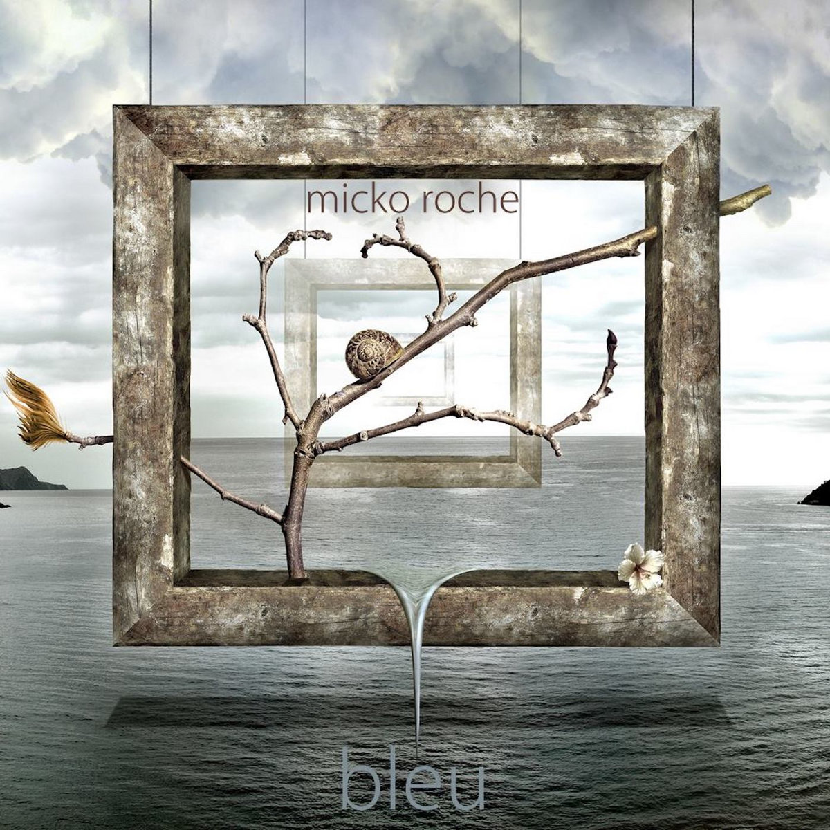 Bleu cover