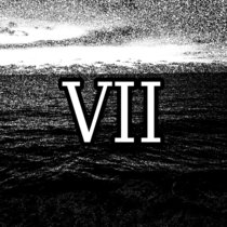 VII cover art