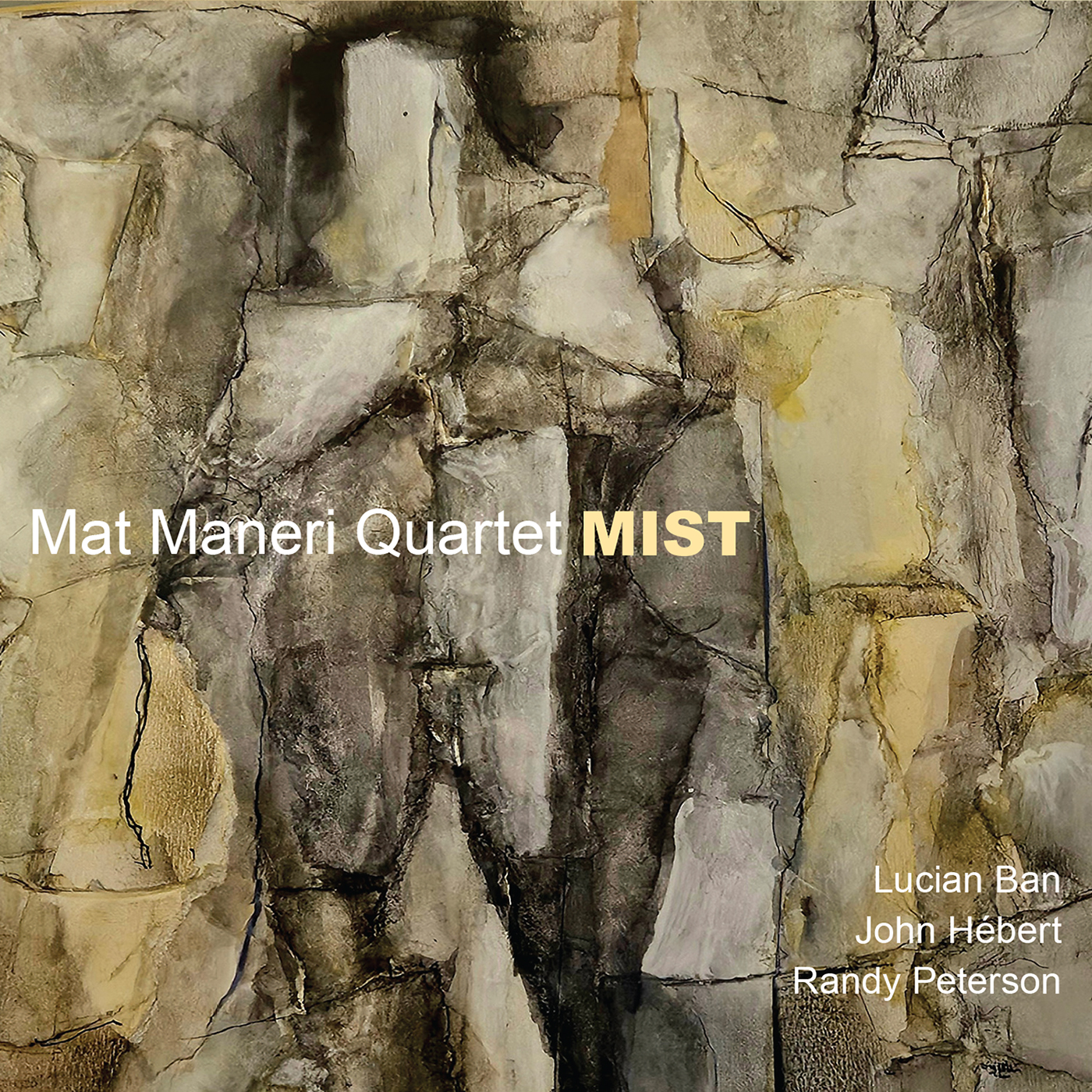 Mat Maneri Quartet — Mist ｜漏網補記（06-26，四周窗口內）