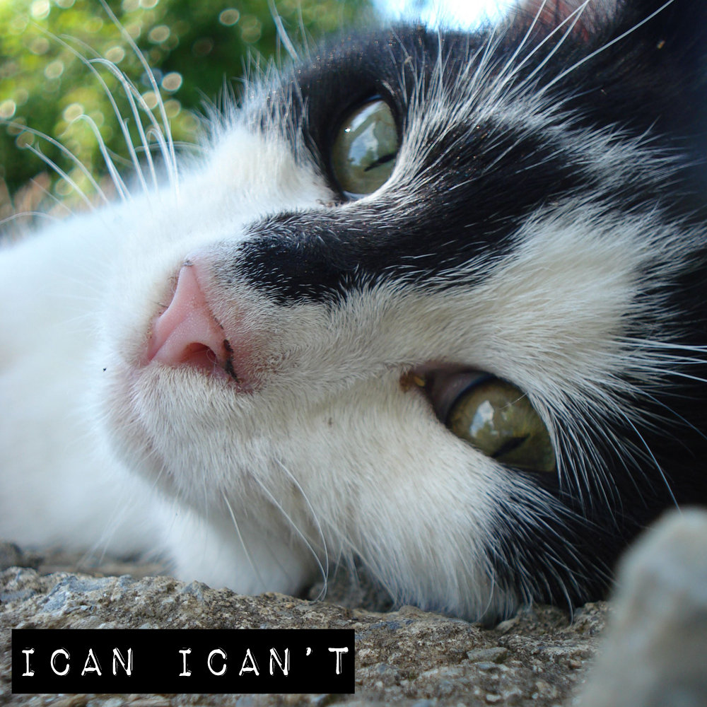 Ican Ican't cover