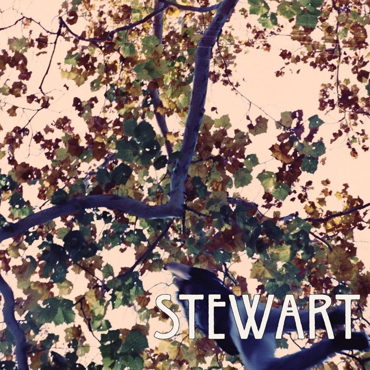  Stewart /  Stewart (US 再発LP ) Stewart | Stewart