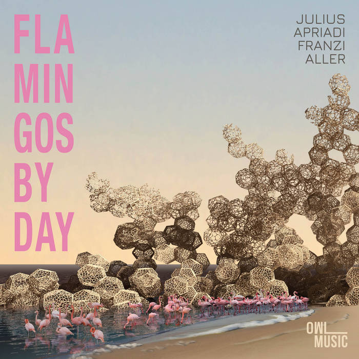 Flamingos by Day
von Julius Apriadi, Franzi Aller