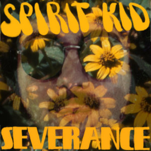 Severance cover