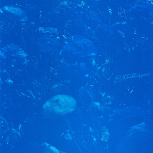 fleet.dreams — B4theblossom