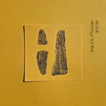 DMP - Hoof Tape