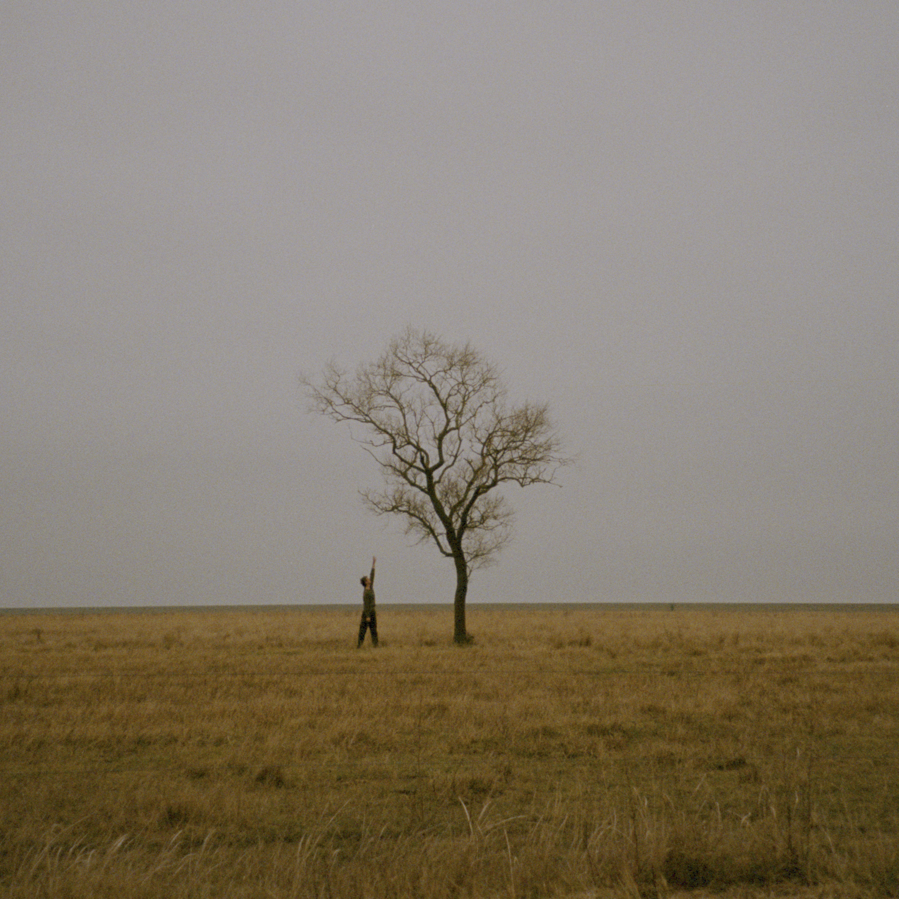 Taunter — sisabatak cover artwork