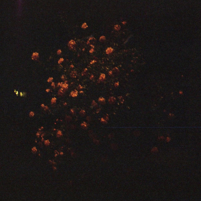 Dark Glasses | Dark Glasses