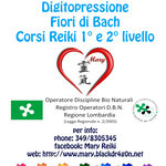 Download Eyeshield 21 Eps 143 Sub Indo