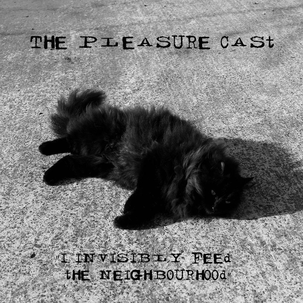 XII: I Invisibly Feed The Neighbourhood cover