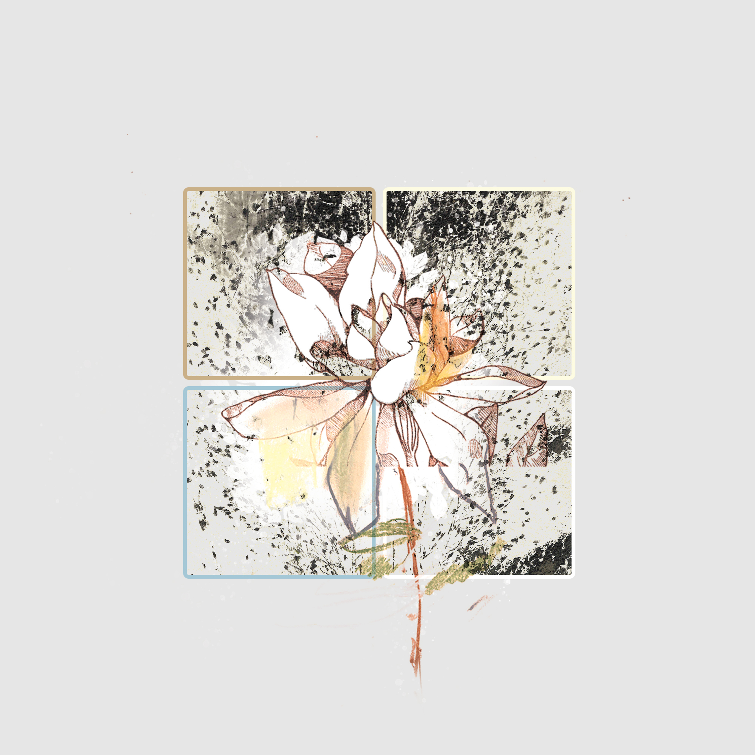 bu.re_ — seasons in migration