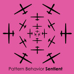 Pattern Behavior-Sentient