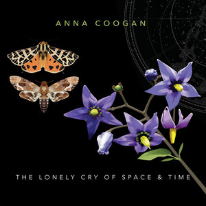 The Lonely Cry of Space and Time cover