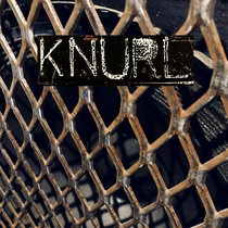 Xylophystera cover art