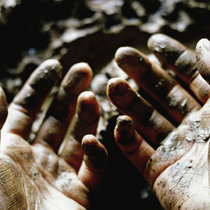 Dis Fig – What To Make Of These Mortal Hands