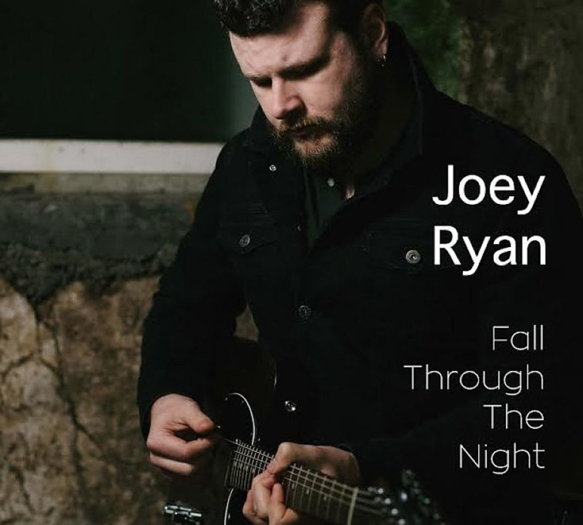 Fall Through the Night cover