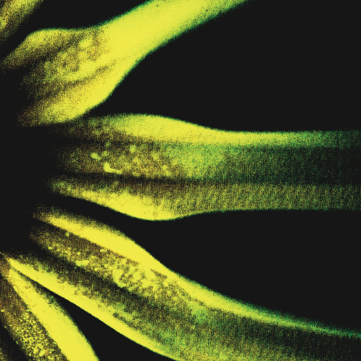 Lumiere Blanche Ulan Bator