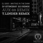 Waiting In The Dark feat: DJ Stingray 313, Aux 88, T.Linder Remixes