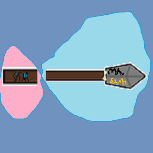 Spear cover