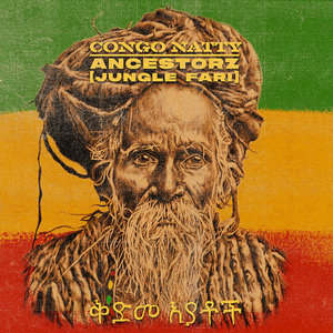 Ancestorz (Jungle Fari) cover
