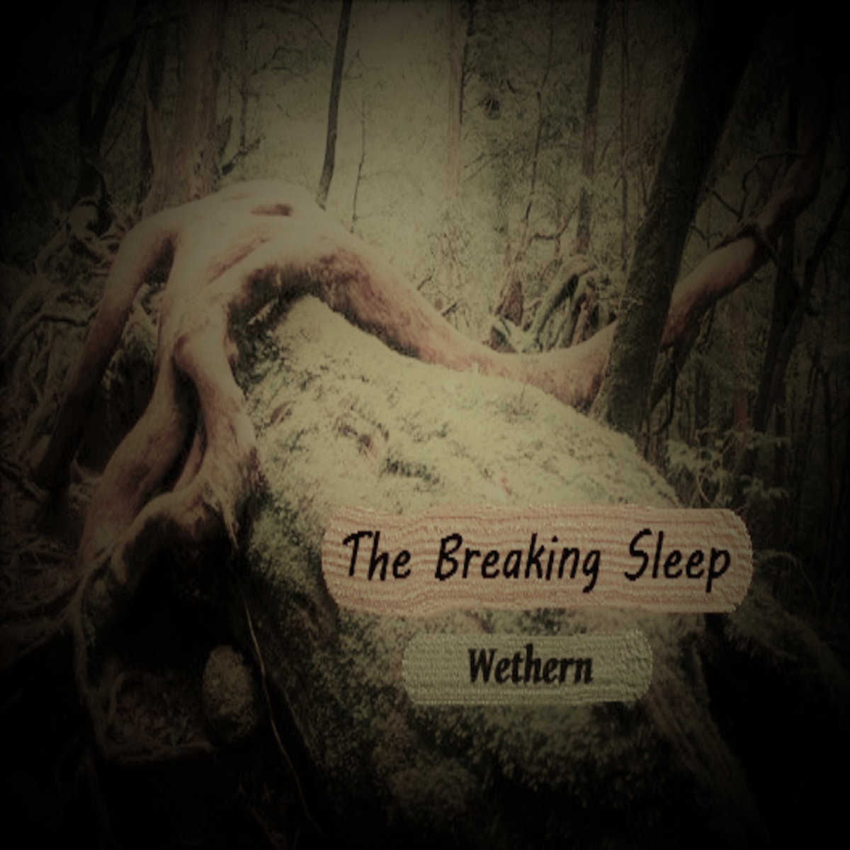 Wethern cover