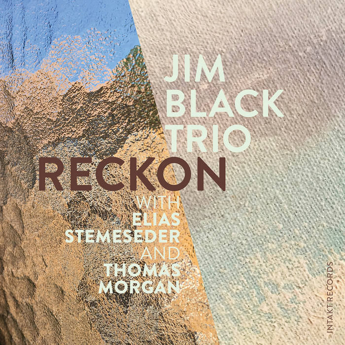 Jim Black Trio - Reckon 