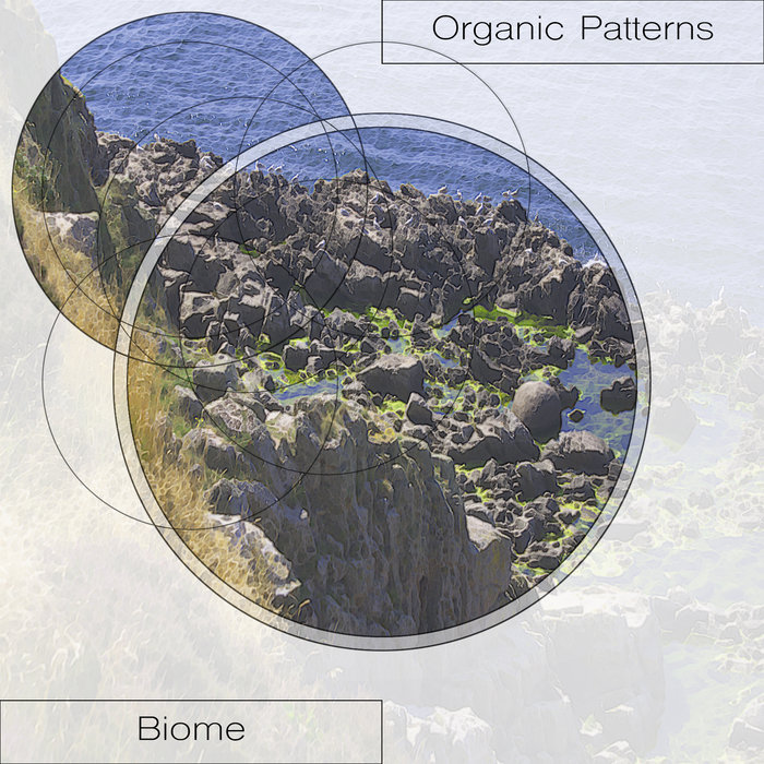 Biome | Organic Patterns