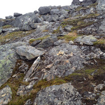 HELLBENT ep1 cover art