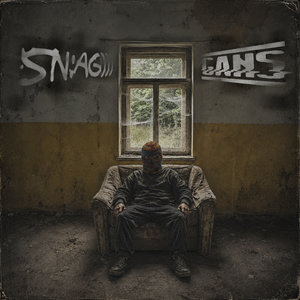 SN:AG))) vs GANS cover