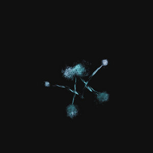 Waterstrider — Demos/Unfinished Works