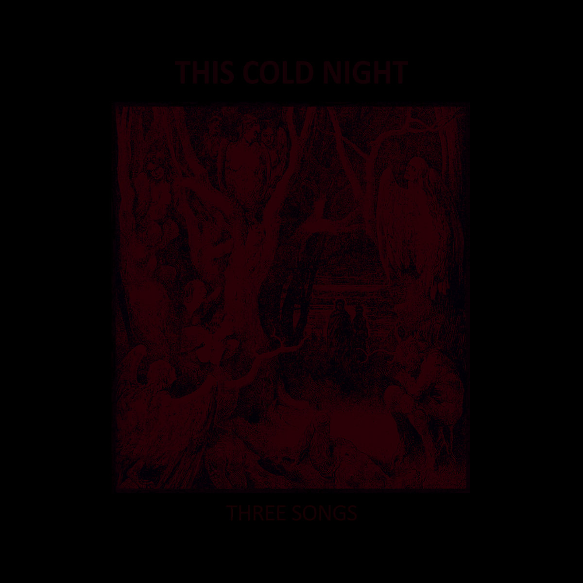 This Cold Night | This Cold Night