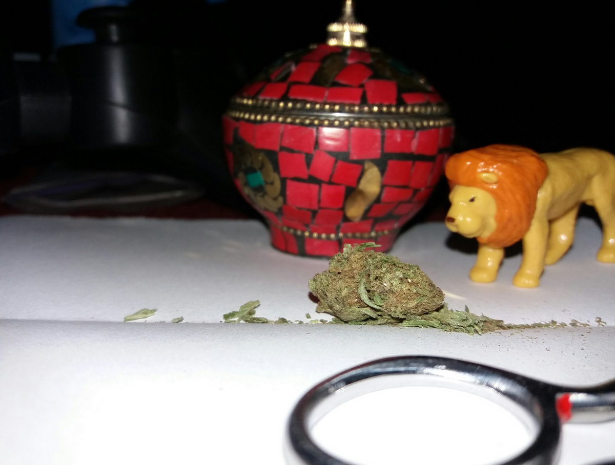 iv-xx-25indica