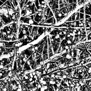 WINTER cover