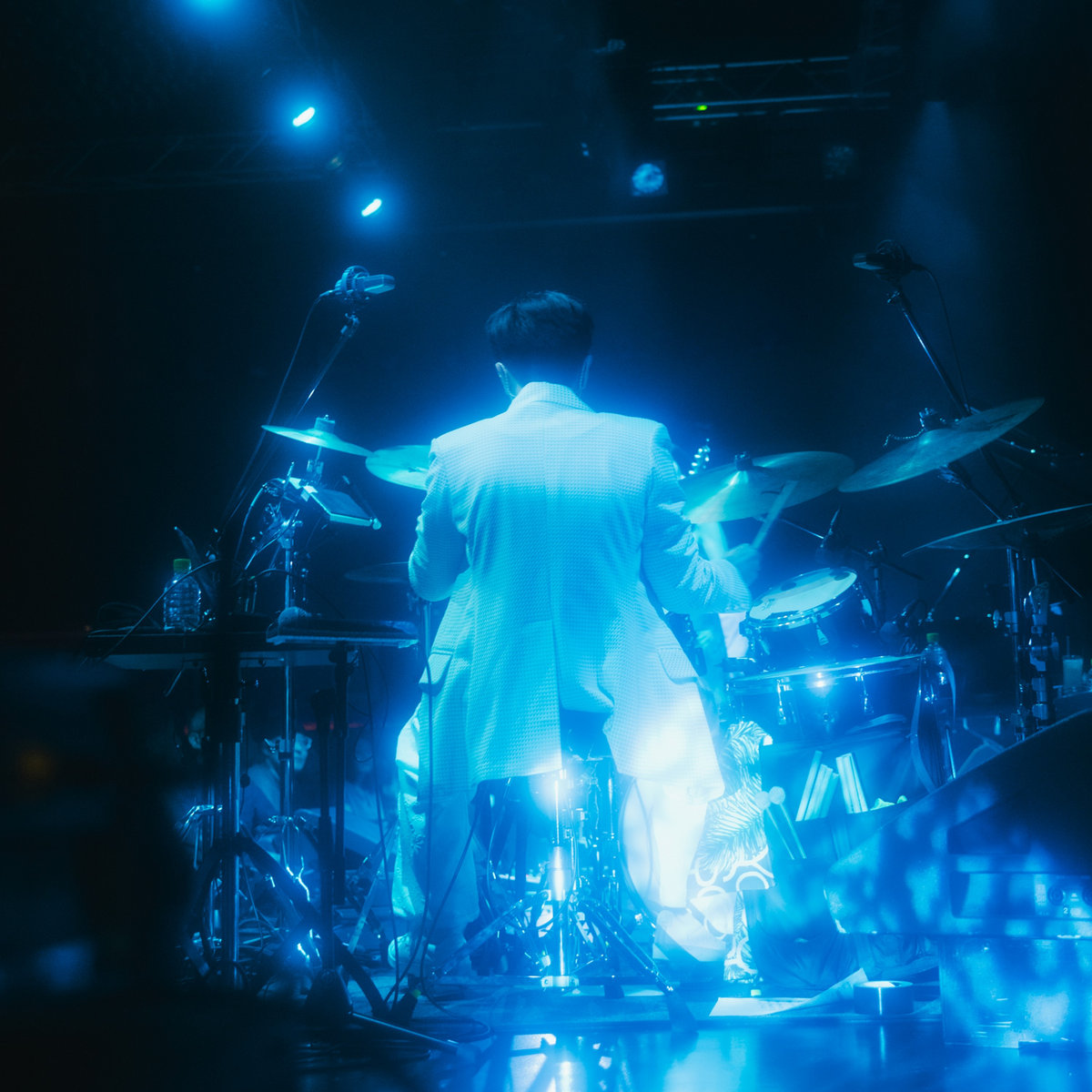 ELEPHANT GYM レコード　新品未使用　cinema staff LP Elephant Gym Discography: Vinyl, CDs, & More | Discogs