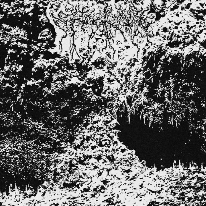 Undimensional Wasteland of Plague and Withering Throats