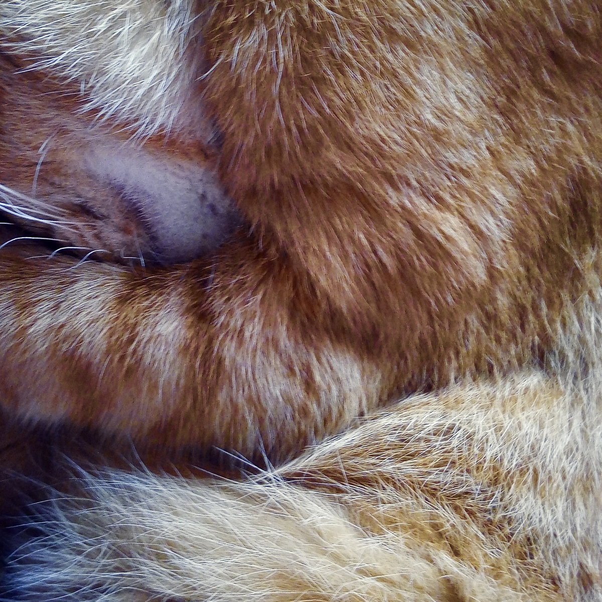 Longform Ambient for Troubled Times