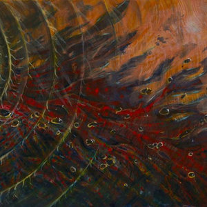 stereo fields cover