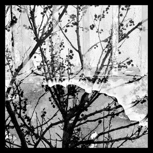 The Whirling Dark — Drifting
