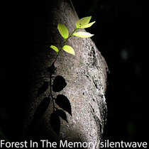 Forest in the memory cover art