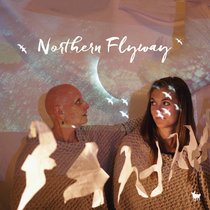Northern Flyway cover art